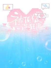 被顶级向导狂追的咔海苔