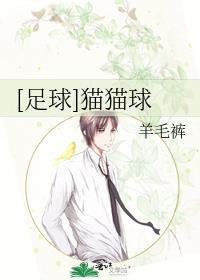 足球猫猫球免费阅读