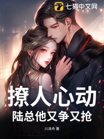 宠婚撩人陆先生的心尖