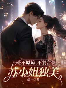 不原谅不复合苏小姐带崽独美短剧