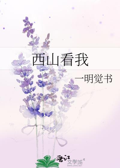 西山看我 我看西山