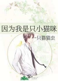 因为我是只小猫咪原著改编的什