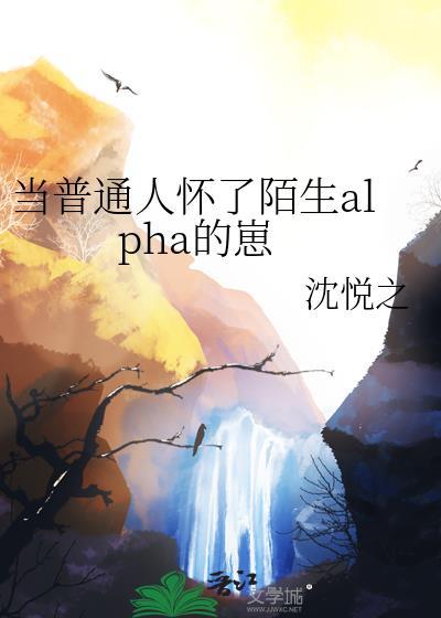 当普通人怀了陌生alpha孩子