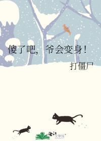 傻了吧爷会变身TXT宝书网