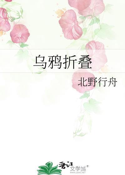 乌鸦折叠TXT资源