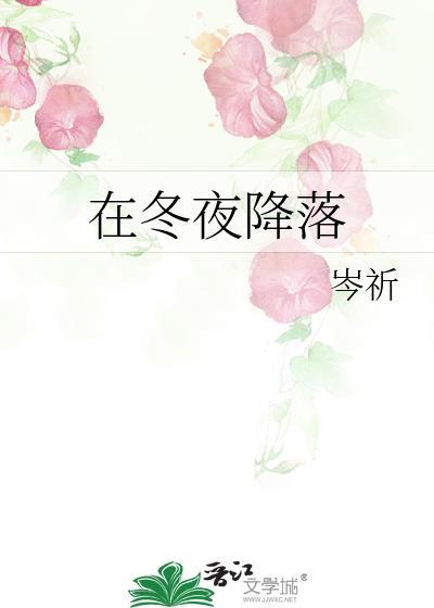 在冬夜降落笔趣阁免费阅读