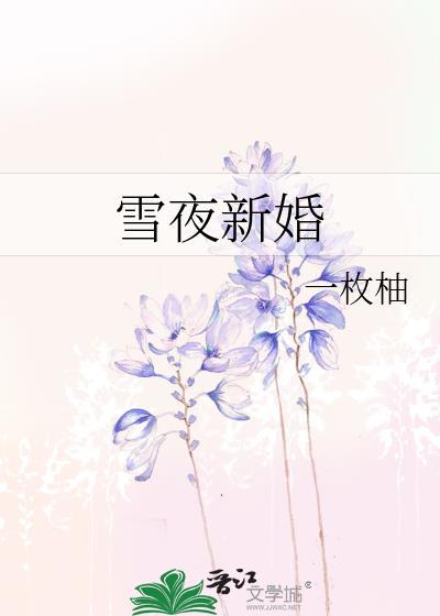 雪夜新婚笔趣阁