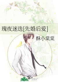夜玫瑰知乎