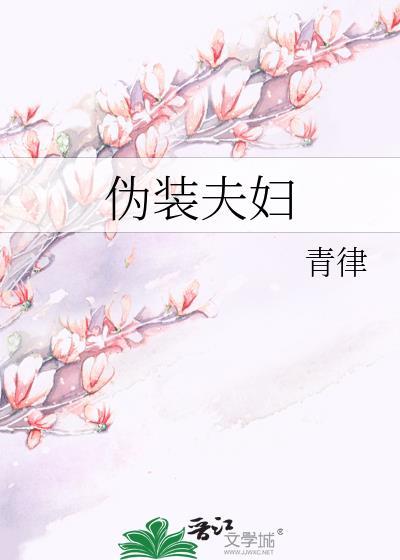 伪装夫妇电视剧全集播放