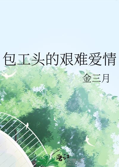 包工头的艰难爱情讲的什么