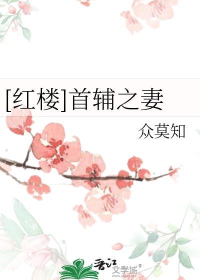 红楼首辅之妻众莫知