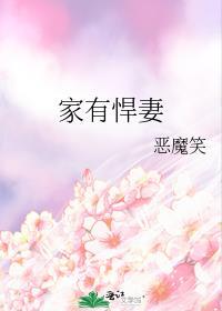 家有悍妻印度版