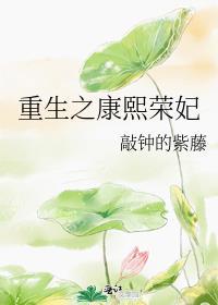 重生之康熙荣妃番外
