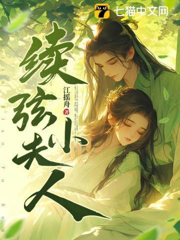 续弦小夫人讲的什么故事