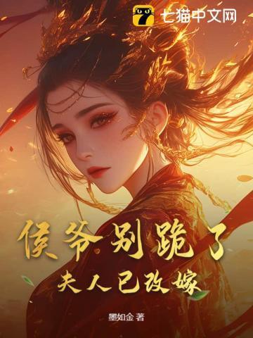 夫人和离后