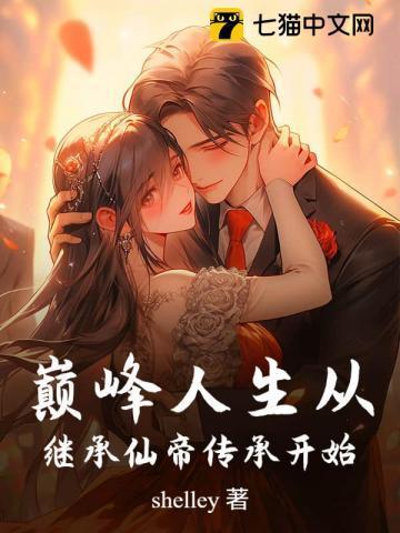 巅峰传承系统
