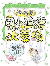 退婚后司少追妻火葬场免费完整版